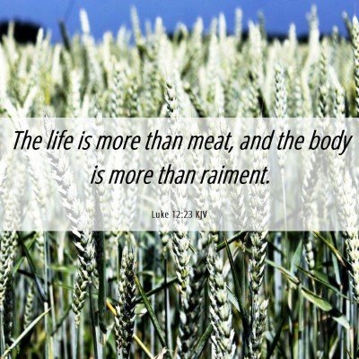 Picture 06 - Luke 12:23 KJV - The life is more than meat, and the body is more - Bible Verse Picture