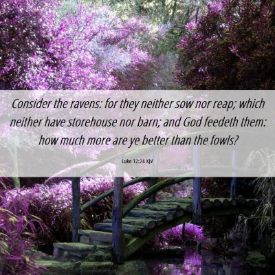 Picture 06 - Luke 12:24 KJV - Consider the ravens: for they neither sow nor - Bible Verse Picture