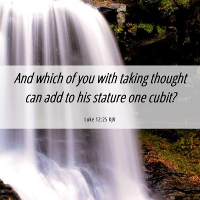Picture 06 - Luke 12:25 KJV - And which of you with taking thought can add to - Bible Verse Picture