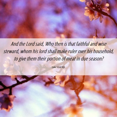 Picture 06 - Luke 12:42 KJV - And the Lord said, Who then is that faithful and - Bible Verse Picture