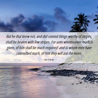Picture 06 - Luke 12:48 KJV - But he that knew not, and did commit things - Bible Verse Picture