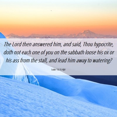 Picture 06 - Luke 13:15 KJV - The Lord then answered him, and said, Thou - Bible Verse Picture