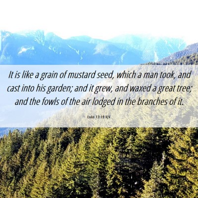 Picture 06 - Luke 13:19 KJV - It is like a grain of mustard seed, which a man - Bible Verse Picture