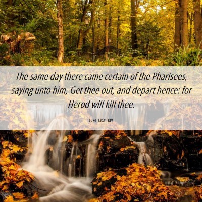 Picture 06 - Luke 13:31 KJV - The same day there came certain of the Pharisees, - Bible Verse Picture