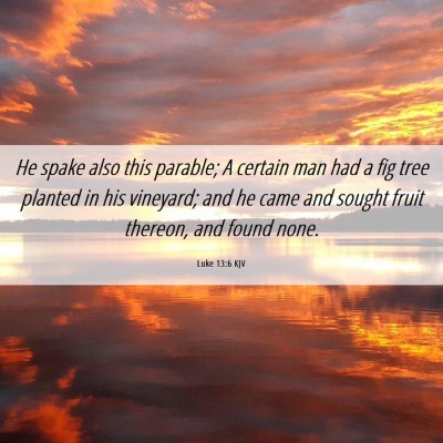 Picture 06 - Luke 13:6 KJV - He spake also this parable; A certain man had a - Bible Verse Picture