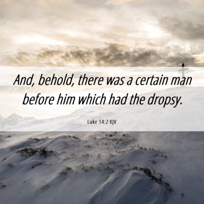 Picture 06 - Luke 14:2 KJV - And, behold, there was a certain man before him - Bible Verse Picture