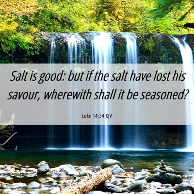 Picture 06 - Luke 14:34 KJV - Salt is good: but if the salt have lost his - Bible Verse Picture