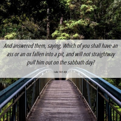 Picture 06 - Luke 14:5 KJV - And answered them, saying, Which of you shall - Bible Verse Picture