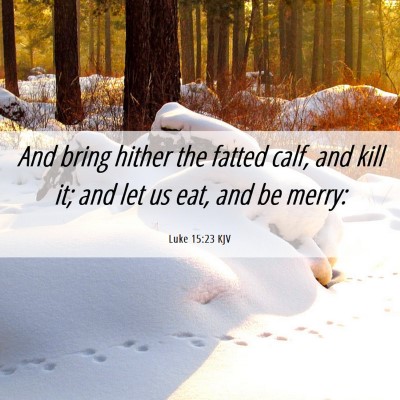 Picture 06 - Luke 15:23 KJV - And bring hither the fatted calf, and kill it; - Bible Verse Picture