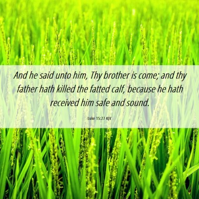 Picture 06 - Luke 15:27 KJV - And he said unto him, Thy brother is come; and - Bible Verse Picture