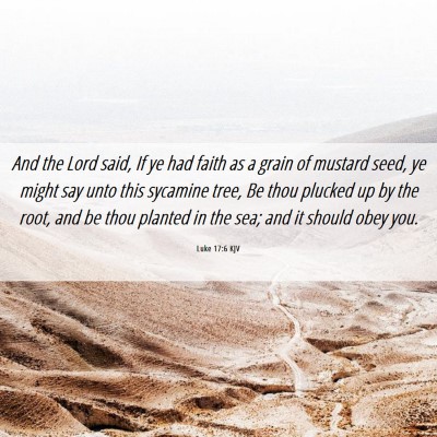 Picture 06 - Luke 17:6 KJV - And the Lord said, If ye had faith as a grain of - Bible Verse Picture