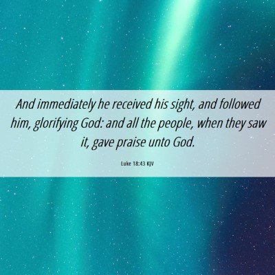 Picture 06 - Luke 18:43 KJV - And immediately he received his sight, and - Bible Verse Picture