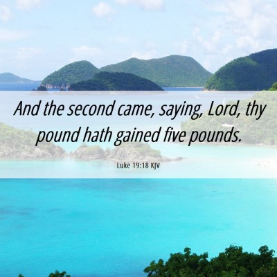 Picture 06 - Luke 19:18 KJV - And the second came, saying, Lord, thy pound hath - Bible Verse Picture
