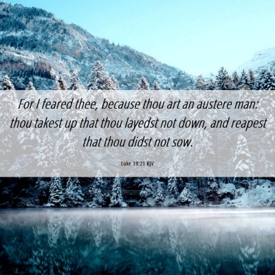 Picture 06 - Luke 19:21 KJV - For I feared thee, because thou art an austere - Bible Verse Picture