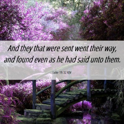Picture 06 - Luke 19:32 KJV - And they that were sent went their way, and found - Bible Verse Picture