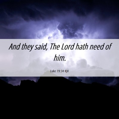 Picture 06 - Luke 19:34 KJV - And they said, The Lord hath need of - Bible Verse Picture