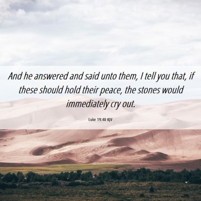 Picture 06 - Luke 19:40 KJV - And he answered and said unto them, I tell you - Bible Verse Picture