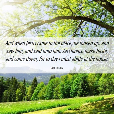 Picture 06 - Luke 19:5 KJV - And when Jesus came to the place, he looked up, - Bible Verse Picture