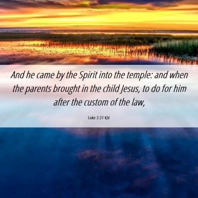 Picture 06 - Luke 2:27 KJV - And he came by the Spirit into the temple: and - Bible Verse Picture