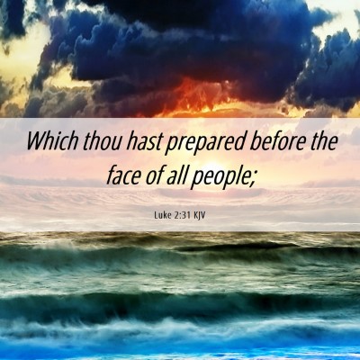Picture 06 - Luke 2:31 KJV - Which thou hast prepared before the face of all - Bible Verse Picture
