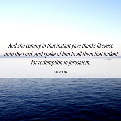 Picture 06 - Luke 2:38 KJV - And she coming in that instant gave thanks - Bible Verse Picture