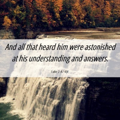 Picture 06 - Luke 2:47 KJV - And all that heard him were astonished at his - Bible Verse Picture
