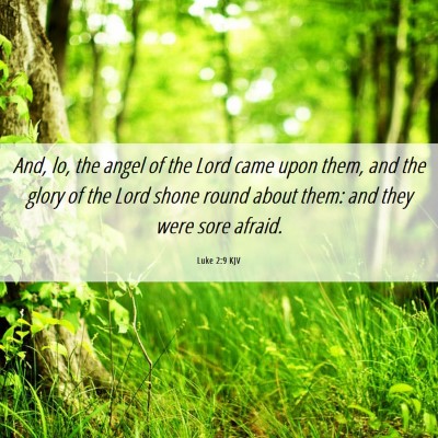 Picture 06 - Luke 2:9 KJV - And, lo, the angel of the Lord came upon them, - Bible Verse Picture