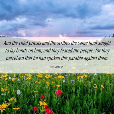Picture 06 - Luke 20:19 KJV - And the chief priests and the scribes the same - Bible Verse Picture