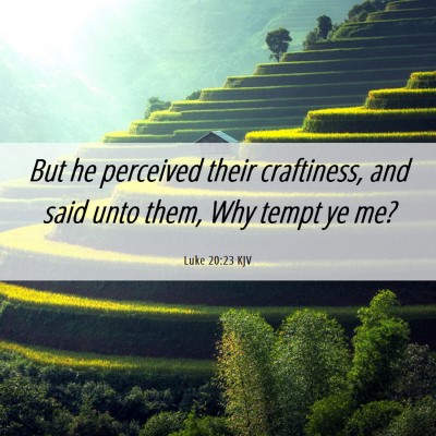Picture 06 - Luke 20:23 KJV - But he perceived their craftiness, and said unto - Bible Verse Picture