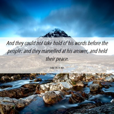 Picture 06 - Luke 20:26 KJV - And they could not take hold of his words before - Bible Verse Picture