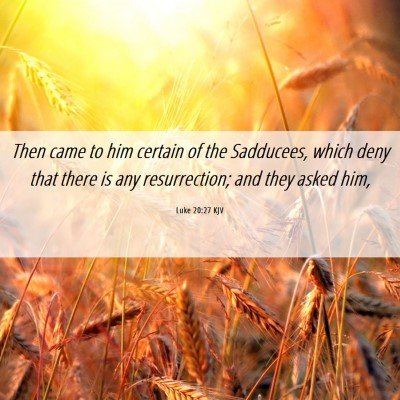 Picture 06 - Luke 20:27 KJV - Then came to him certain of the Sadducees, which - Bible Verse Picture