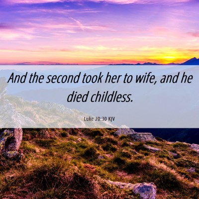 Picture 06 - Luke 20:30 KJV - And the second took her to wife, and he died - Bible Verse Picture