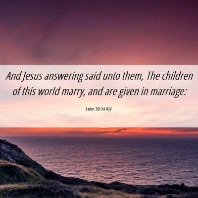 Picture 06 - Luke 20:34 KJV - And Jesus answering said unto them, The children - Bible Verse Picture