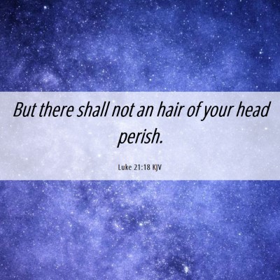 Picture 06 - Luke 21:18 KJV - But there shall not an hair of your head - Bible Verse Picture