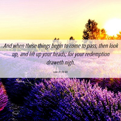 Picture 06 - Luke 21:28 KJV - And when these things begin to come to pass, then - Bible Verse Picture