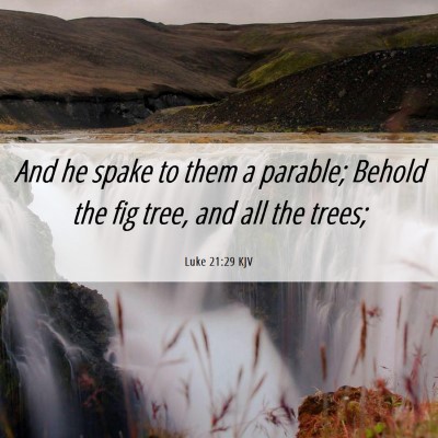 Picture 06 - Luke 21:29 KJV - And he spake to them a parable; Behold the fig - Bible Verse Picture