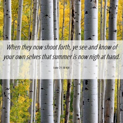Picture 06 - Luke 21:30 KJV - When they now shoot forth, ye see and know of - Bible Verse Picture