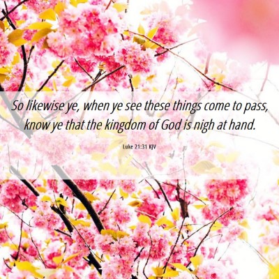 Picture 06 - Luke 21:31 KJV - So likewise ye, when ye see these things come to - Bible Verse Picture