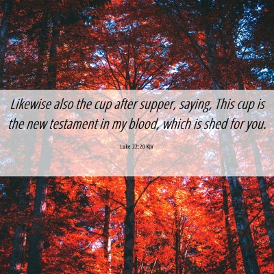 Picture 06 - Luke 22:20 KJV - Likewise also the cup after supper, saying, This - Bible Verse Picture