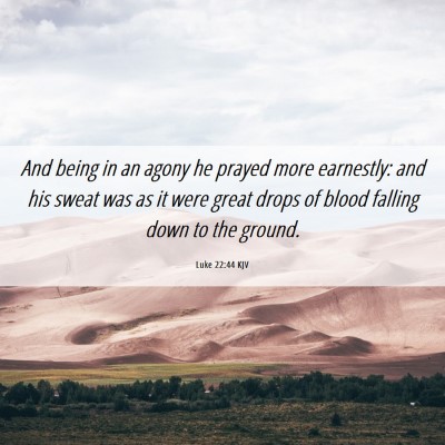 Picture 06 - Luke 22:44 KJV - And being in an agony he prayed more earnestly: - Bible Verse Picture