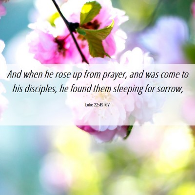 Picture 06 - Luke 22:45 KJV - And when he rose up from prayer, and was come to - Bible Verse Picture