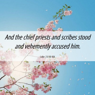 Picture 06 - Luke 23:10 KJV - And the chief priests and scribes stood and - Bible Verse Picture