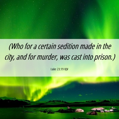 Picture 06 - Luke 23:19 KJV - (Who for a certain sedition made in the city, and - Bible Verse Picture