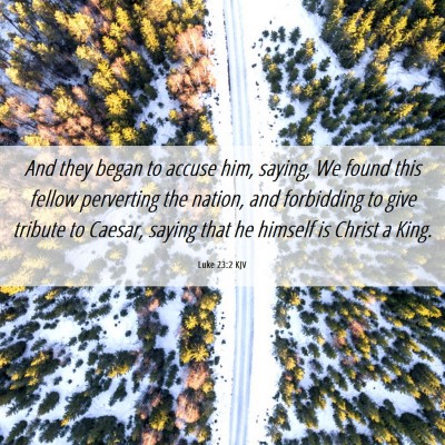 Picture 06 - Luke 23:2 KJV - And they began to accuse him, saying, We found - Bible Verse Picture