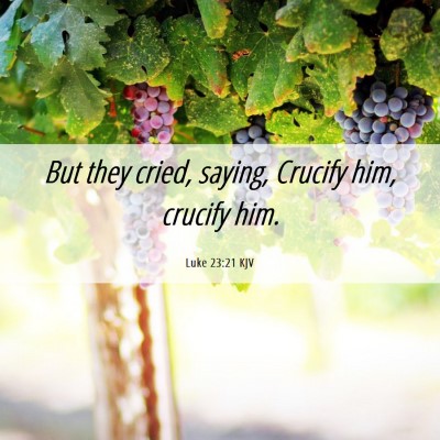 Picture 06 - Luke 23:21 KJV - But they cried, saying, Crucify him, crucify - Bible Verse Picture