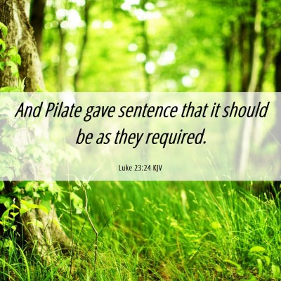 Picture 06 - Luke 23:24 KJV - And Pilate gave sentence that it should be as - Bible Verse Picture