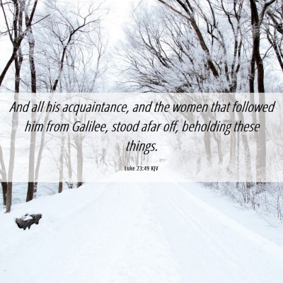 Picture 06 - Luke 23:49 KJV - And all his acquaintance, and the women that - Bible Verse Picture