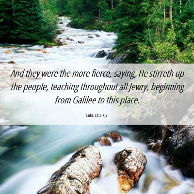 Picture 06 - Luke 23:5 KJV - And they were the more fierce, saying, He - Bible Verse Picture