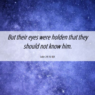 Picture 06 - Luke 24:16 KJV - But their eyes were holden that they should not - Bible Verse Picture