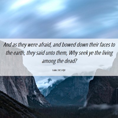 Picture 06 - Luke 24:5 KJV - And as they were afraid, and bowed down their - Bible Verse Picture